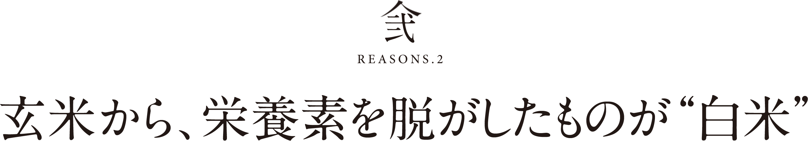 弐REASONS.2玄米から、栄養素を脱がしたものが“白米”