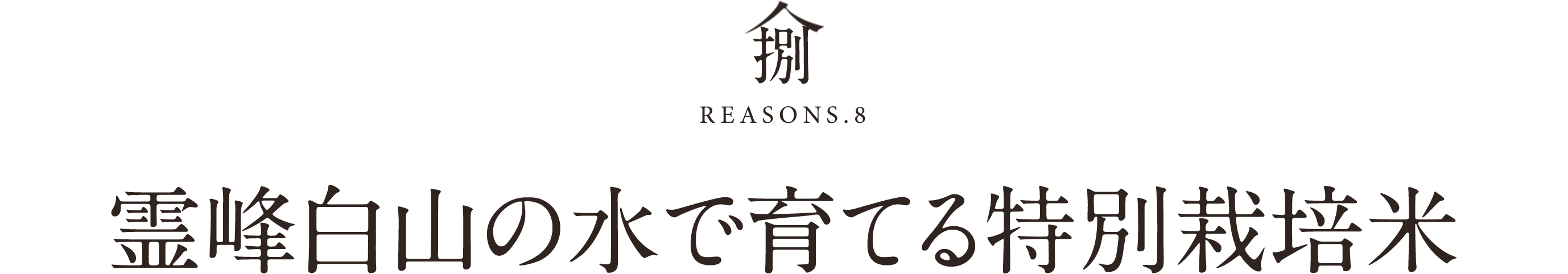 捌REASONS.8霊峰白山の水で育てる特別栽培米
